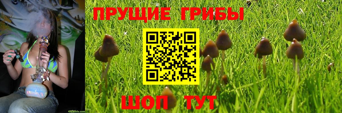 Псилоцибиновые грибы прущие грибы  Вход с VPN  Полевской 